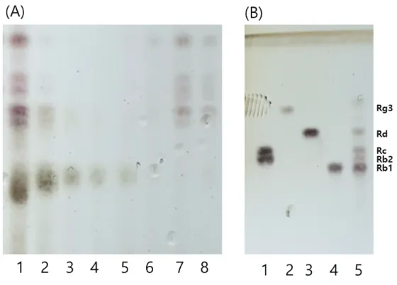 Figure  1.  TLC  analysis  of  separated  red  ginseng  extract  (RGE).