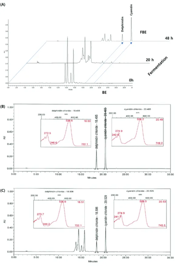 Figure  2.  Chromatograms  of  HPLC  Analysis  of  BE  and  FBE  ((A):  Changes  in  peaks  during  fermentation,  (B): 