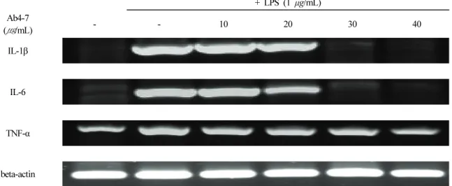 Figure  5.  Effect  of  Ab4-7  on  the  mRNA  of  IL-1β,  IL-6  and  TNF-α  in  RAW  264.7  cells