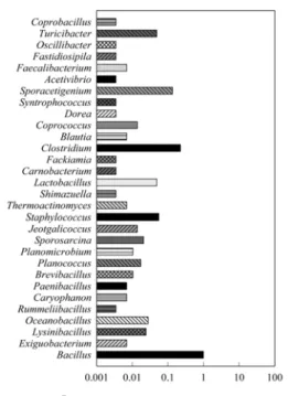 Fig. 2. Bacterial genera of the HVAC systems based on the pyrosequencing analysis at phylum of Actinobacteria.