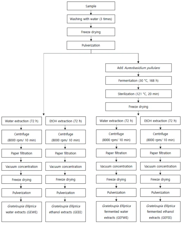 Figure  1.  Diagram  for  preparation  of  algae  extracts  and  fermented  algae  extracts.