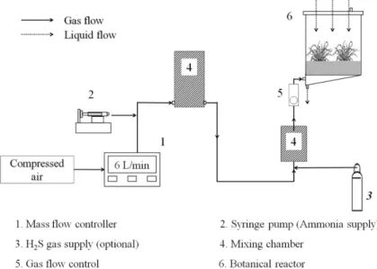 Fig. 1. Experimental setup of an up-flow botanical reactor: Three different types of the reactors were prepared; three botanical reactors for test, two control reactors without plants but the same experimental conditions, and one blank reactor without plan