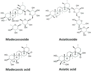 Figure 1. Structures of four major compounds from Centella  asiatica. 