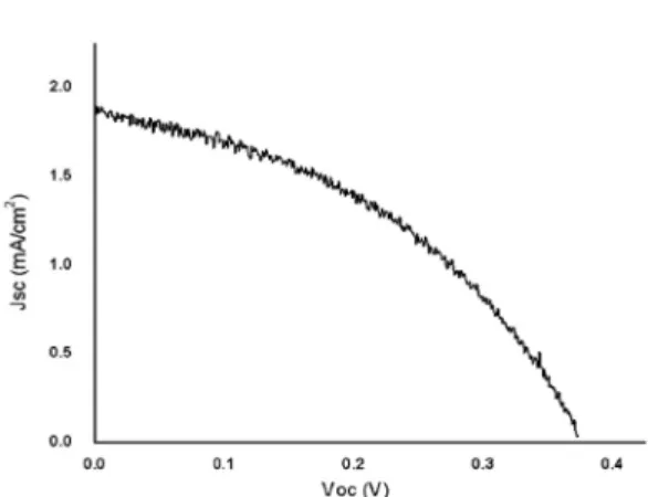 Fig. 6. SEM micrograph of the semiconductive layer sin- sin-tered at 300 o C.