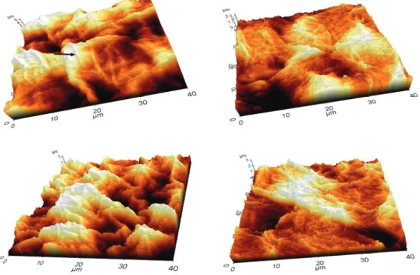 Figure 4. The 3-dimentional analysis of surface roughness on corneocytes of forearm and face
