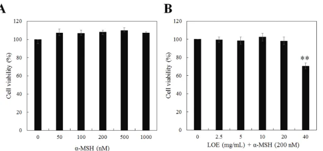 Figure 2. Inhibitory effect of melanin contents by LOE in B16F10 cells. (A)  Melanin contents assay were conducted to evaluate the inhibitory effect of LOE compared to the arbutin (100 μg/mL)