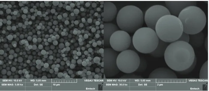 Figure 2. SEM images of sphere-type silica-PMSQ composite.