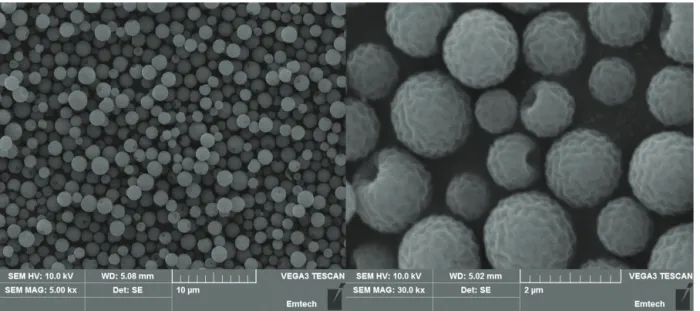 Figure 4. SEM images of Donut-type silica-PMSQ composite.