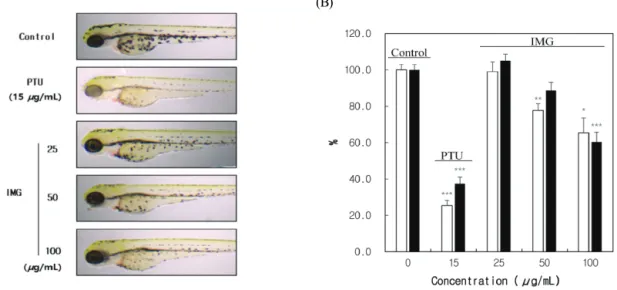 Figure 1. Effects of IMG on melanogenesis in B16-F10 melanoma. (A) Cell viability test was determined by MTT method