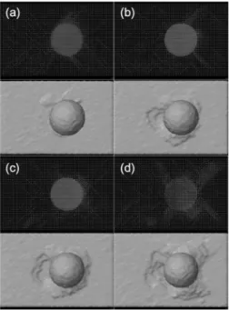 Fig. 2. The top views for S ratios with depth = 5Å. (a) S = 0 (b) S = 0.2 (c) = 0.5 (d) S = 1.0.