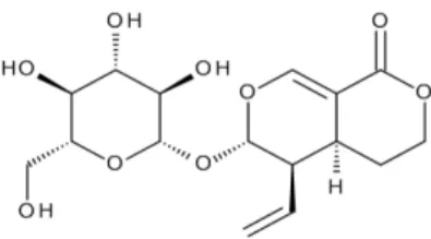 Figure 1. Chemical structure of sweroside isolated from N. 