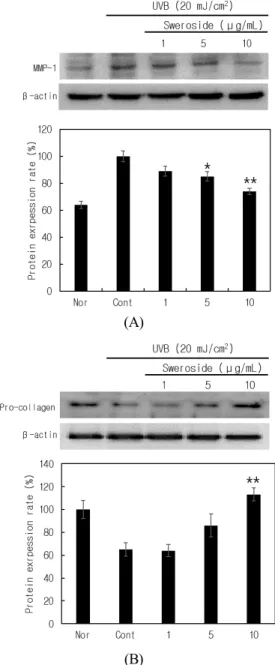 Figure 4. Sweroside effect on UVB-induced (A) reduction of  MMP-1 expression and (B) increment of pro-collagen type 1  synthesis in CCD-986sk