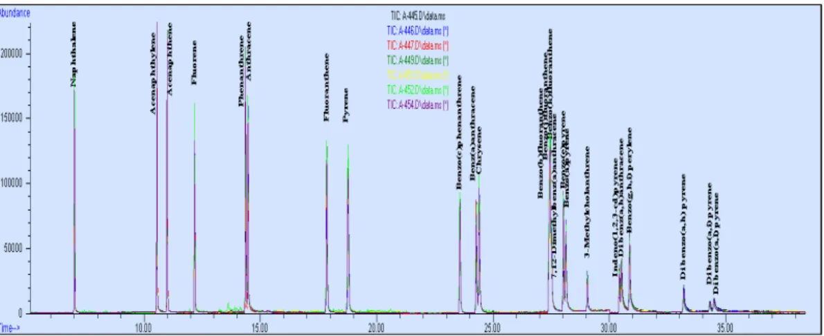 Fig. 4. Chromatogram of blank sample.