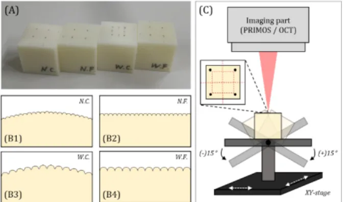 Figure 3. (A) Skin phantom model categorized four different  shape, (B1) NC: narrow/curvature, (B2) NF: narrow/flat, (B3)  WC: wide/curvature, WF: wide/flat, (C) Image acquisition  method by tilt and linear stage.