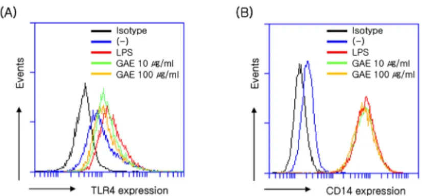 Figure 7. Effects of GAE on eotaxin-1 expression in  IL-4-induced NIH/3T3 cells. Cells were pretreated with GAE for 1 h, and then further incubated with IL-4 (50 ng/mL), for 24 h.