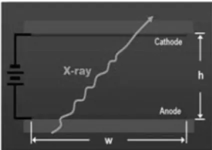 Fig. 2. Drift and avalanche phenomena calculated with Garfield code.