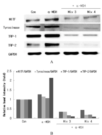 Figure 8. Effects of extracts mixture on tyrosinase activity in  B16F10 melanoma cells (Mix 3-5: extracts mixtures referred to  Table 1)