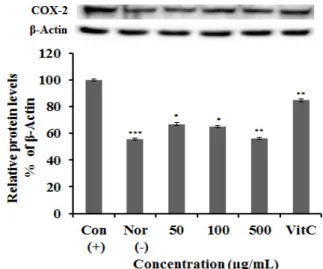Figure 4. COX-2 protein expression rate of extract from A. 