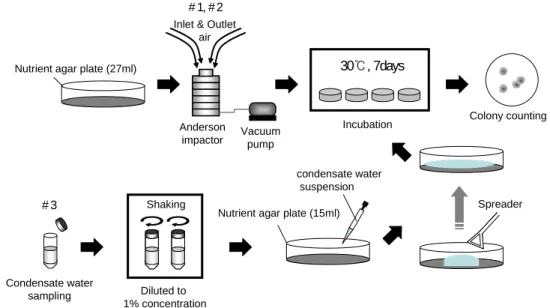 Fig.  3.  Experimental  procedure  for  antimicrobial  test.