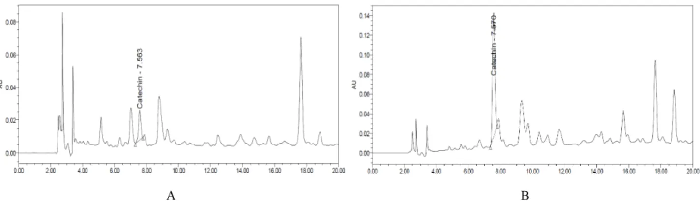 Figure 4. HPLC chromatogram of 70% EtOH extract (A) and EtOAc fraction (B) from F. erecta at 280 nm.