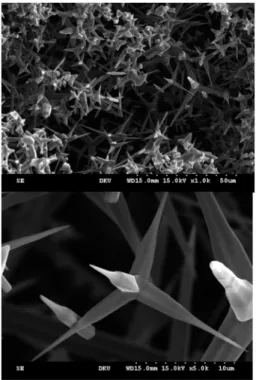 Fig. 3. (a) Typical FESEM image of the as grown star-like ZnO nanostructures. (b) high-magnification FESEM