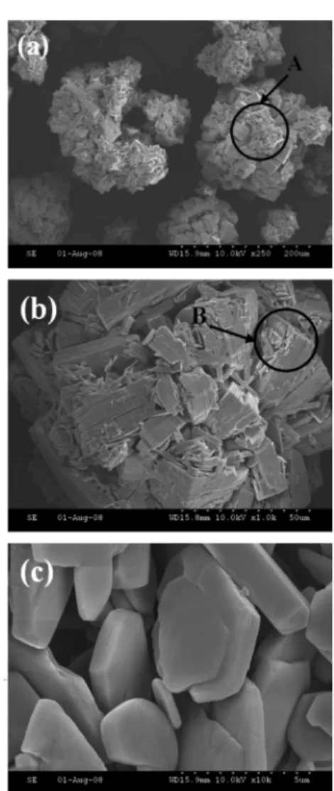 Fig. 3. XRD pattern of CeO 2  nanoparticles.