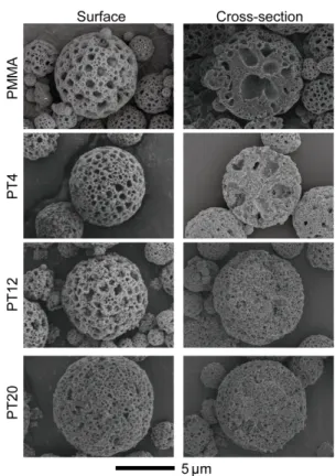 Figure 1. SEM images of surface and cross-section of porous  PMMA and PMMA/TiO 2  microspheres (PT4, PT12, and  PT20)