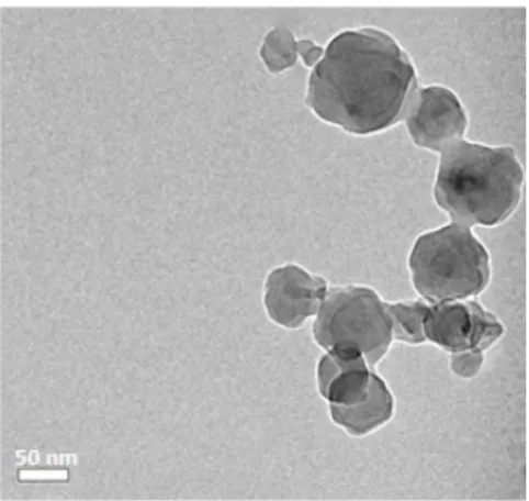 Figure 5. Cryo-TEM image of swollen micelle containing β -sitosterol.