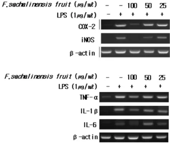 Figure 3. Effect of F. sachalinensis fruit extract on  LPS-induced NO production in RAW 264.7 marcrophages  cells