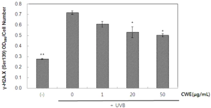 Figure 5. Effect of CWE on the level of phospho-p53 in  UVB-exposed HS68 cells. HS68 cells was irradiated with  UVB, and then treated with CWE (0, 1, 20, 50  µg/mL)