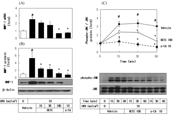 Figure 5. Effects of BCTE on UVB-induced MMP1 expression and JNK phosphorylation in HaCaT cells