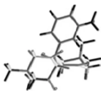 Figure 2. Contributions structure to the tyrosinase inhibitory  activity of the most potent (Obs.pI 50  = 5.27) compound (20; 
