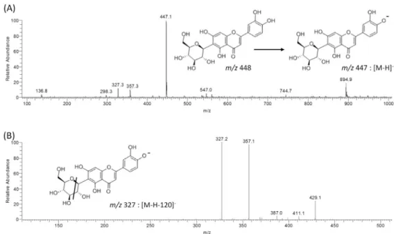 Figure 10. Mass spectra of TRA-10 in negative mode (LC-MS) : (A) full MS spectra; (B) MS/MS from precursor ion m/z 447.