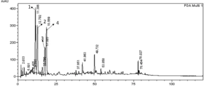 Figure 5. TLC chromatogram of ethyl acetate fraction from  R. acetosa L. extract and reference