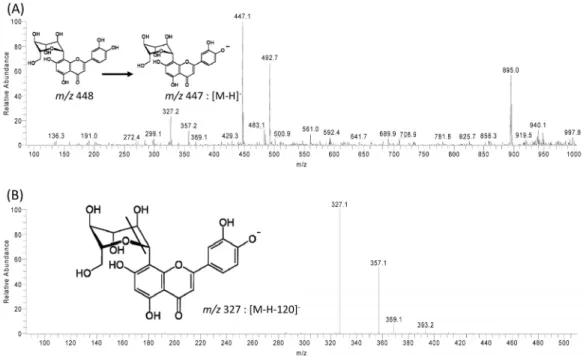 Figure 8. Mass spectra of TRA-8 in negative mode (LC-MS) : (A) full Ms spectra; (B) MS/MS from precursor ion m/z 447.