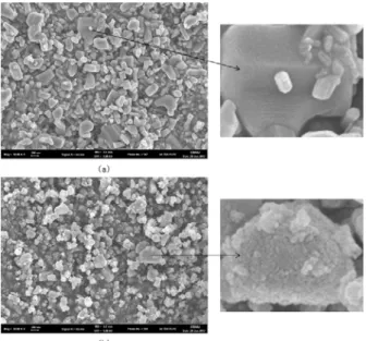 Figure 6. SEM image of (a) ZnO and (b) SiO 2  / ZnO  particles. 면적과 이산화규소가 코팅된 산화아연인 SiO 2  / ZnO 의 Zn 2p (b)  면적 비교 시 73853에서 26616으로 현저하 게 줄어든 것으로 보아 Zn-O-Si  결합 형성을 확인할 수  있다