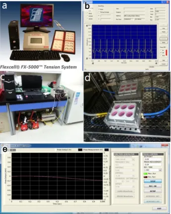 Fig.  1.  a.  Flexcell  FX-5000  Tension  System,  b.  Computer  timer  program  of  Flexcell  System,  c