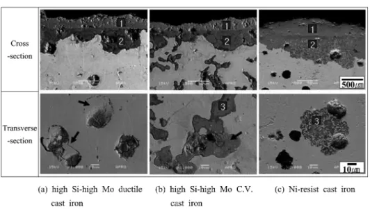Fig. 7. High temperature oxidation characteristics of the specimens.