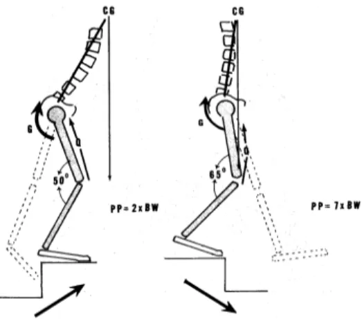 Fig.  1.  계단을 오르내릴 때 대퇴근의 체중 부하         3.  체중  조절     하지의 퇴행성 관절염 환자가 과체중인 경우에는 체중도 감량해야 한다