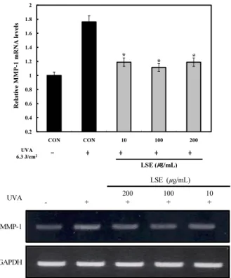 Figure 2. The effect of T. paniculatum extract on the  production of MMP-1 by the UVA-irradiated human dermal  fibroblast