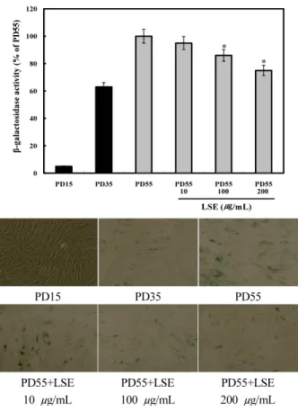 Figure 4. Cell protective effect of T. paniculatum leaf and  stem extracts (LSE) on the UVB-induced cytotoxicity