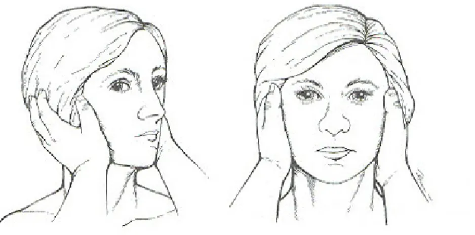Figure  2.  급속회전검사.