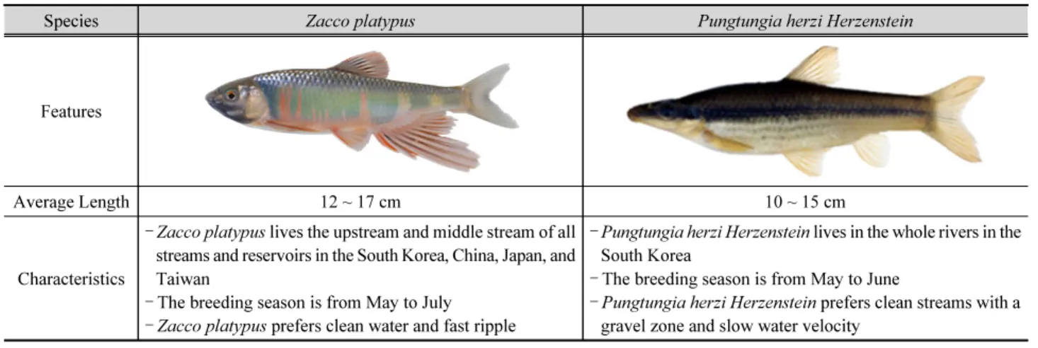 Table 1. The characteristics and features of target fishes (www.nifs.go.kr, 2021.07.01