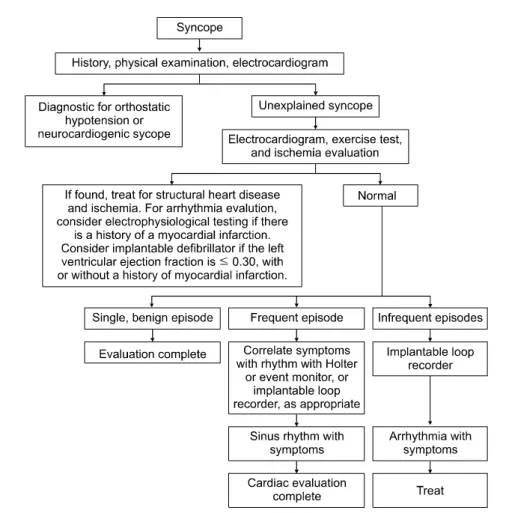 Figure  1.  Diagnostic  approach  to  a  patient  with  syncope. 생겨 잘 넘어진다.  6.  기타  뇌  또는  소뇌질환     중추신경계질환에서는 다양한 운동,  감각,  전정(vestibular)  및 소뇌기능이상이 단독으로 또는 복합적으로  나타난다