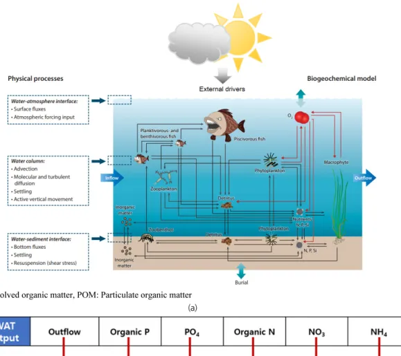 Fig. 2. (a) Schematic of aquatic ecosystem model WET concept (Hu et al., 2016) and (b) relations between SWAT output and WET input