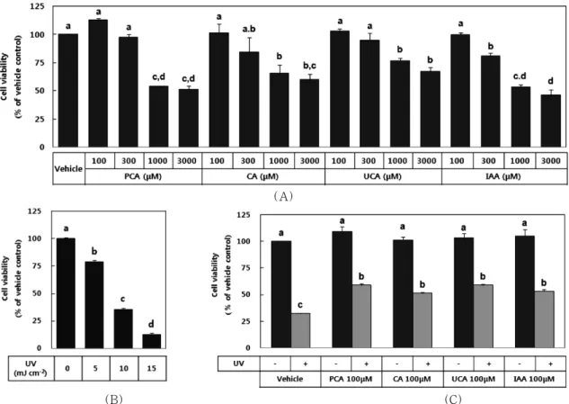 Figure 2. Effects of PCA, CA, UCA, and IAA on the viability of HaCaT cells exposed to UVB