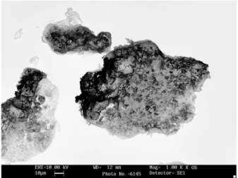 Figure 1. SEM images of silk-gland powder.[2,3]. 종래 외모 치장의 목적으로 합성된 화장품 성분은 피부 손상, 피부 노화, 피부 재생력 감소, 피부발진, 알레르기 등의 피부질환과 자신감 결여, 삶의 질의 저하, 질병으로 인한 고통 등의 무형 요소까지 포함하면 사회적, 경제적인 심각성을 야기하므로 이에 대한 대책이 시급한 실정이다