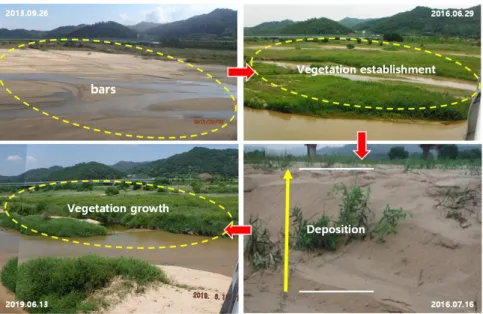 Fig. 7. Process of land forming