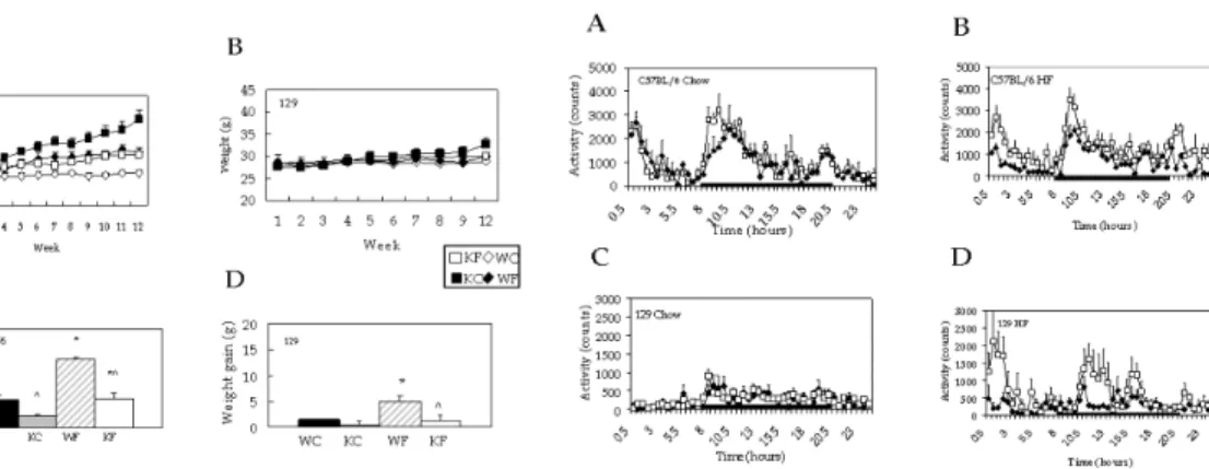 Figure  1.  (A)  MCH-/-  mice  on  HFD  gained  more  weight  than  MCH-/-  mice  on  a  chow  but  did  not  gain  more  weight  than  either  WT  on  chow  or  WT  on  HFD
