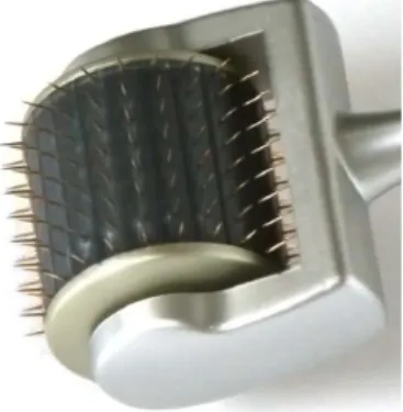 Figure 1. Roller equipped microneedle. During this ther- ther-apy, the micro-needle makes small holes and helps  ab-sorb the drug into the scalp